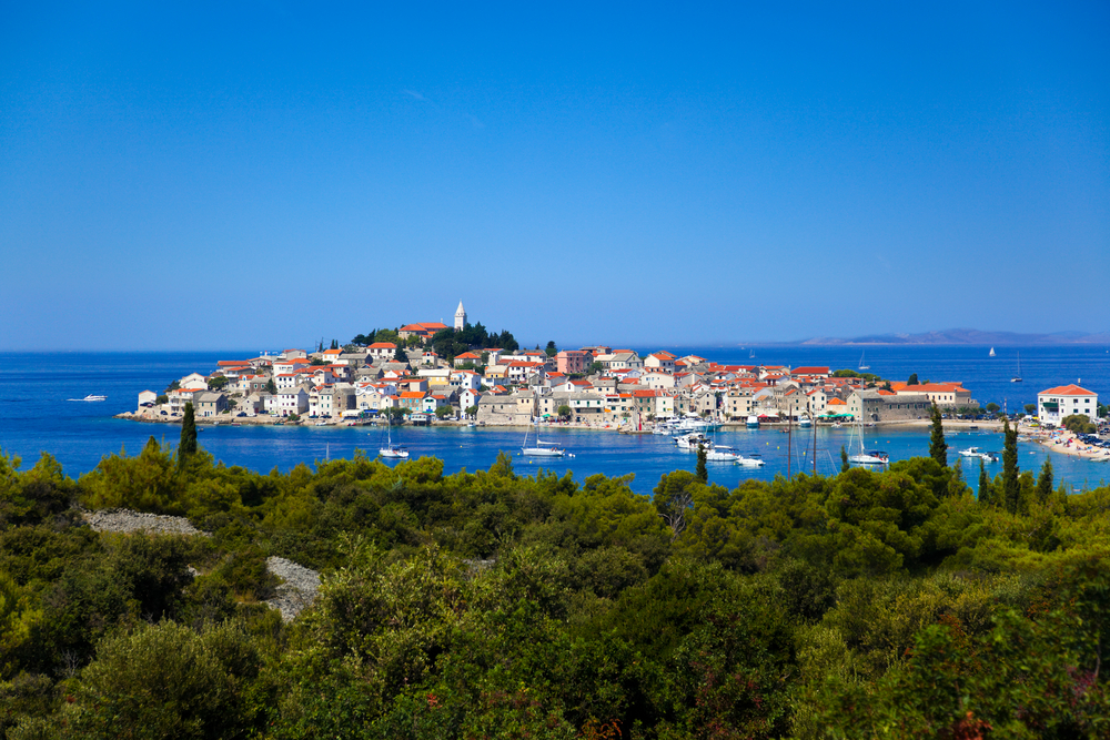 blog-image