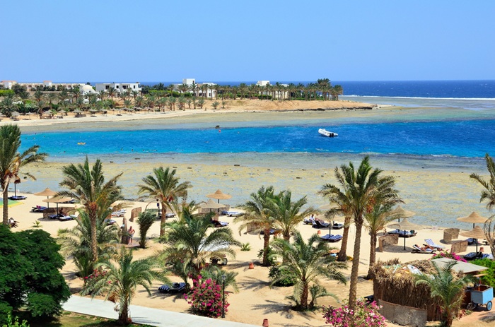 blog-image