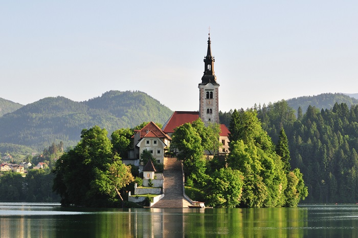 blog-image