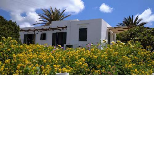 ΑΡΧΑΙΑ ΜΕΡΟΠΙΑ ΣΙΦΝΟΣ - STUDIOS Ο ΠΑΡΑΔΕΙΣΟΣ, Κτίριο ΙΙ Ν Τσελεμεντές, Απολλωνία, ANCIENT MEROPIA, Apollonia