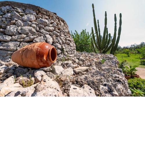- Trullo degli Ulivi - Oasi Naturale nel Salento