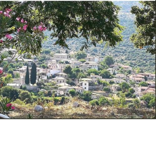 ΚΟΛΟΚΟΤΡΩΝΙΤΣΙ-ΚΑΡΥΑ, ΤΟ ΓΑΛΑΝΕΪΚΟ ΣΠΙΤΙ