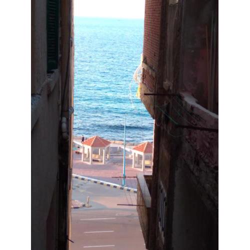 الاسكندريه-كامب شيزار
