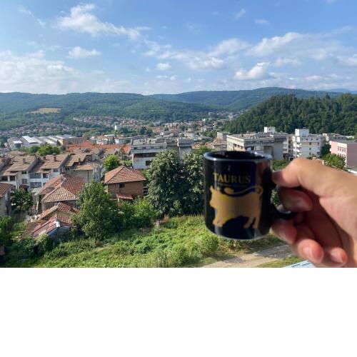 Апартамент Панорама Трявна - кът за отдих, въздухолечение и почивка