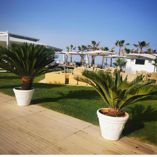 1-Bed Apartment in Marina di Santa Maria del Cedro