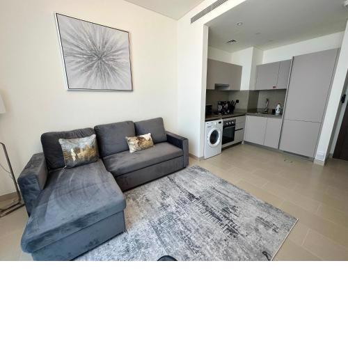 1 bedroom apartment Downtown View
