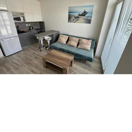 1 room Apartment with balcony, Nálepkova