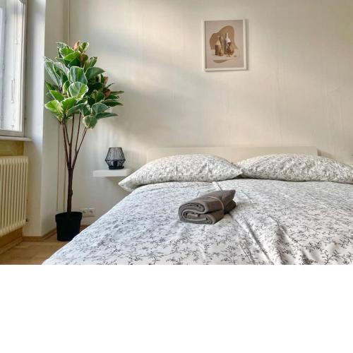 110 m2 Sunny & Central Long Term Apartment - Free Parking