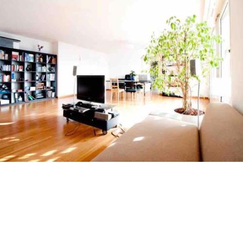 180m2 Duplex Apartment at the lake