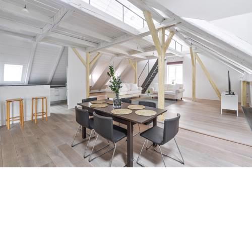 18TH CENTURY LOFT AT CHARLES BRIDGE