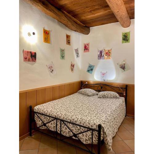 1912 - Flowers Room - budget for young