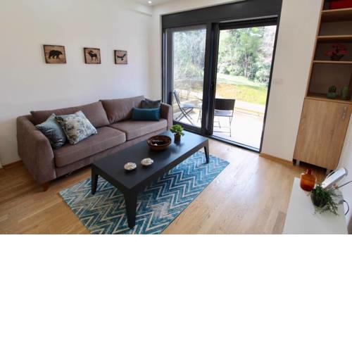 1bd Blue Paradise Apt in Tivat Center