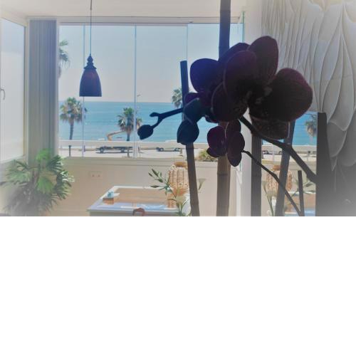 1st Line apartment in Malaga