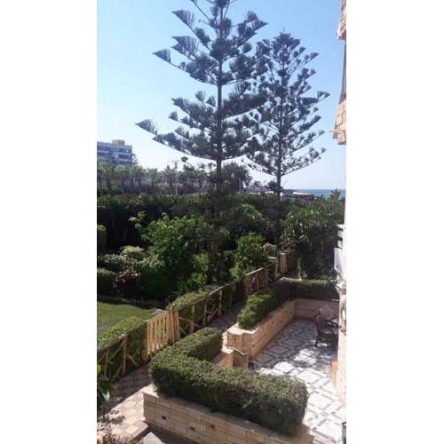 2 beds room, Garden sea view, first floor , Family only , معمورة شاطئ