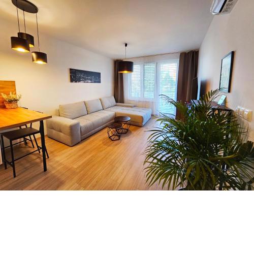 2 room Apartment, new building, Bosákova street, 29