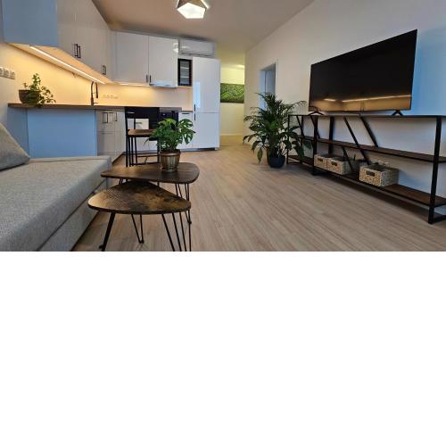 2 room Apartment with terrace, new building, 413