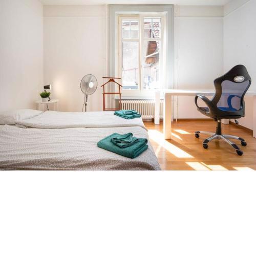 2 Zimmer in Jugendstilwohnung mit Garten (1-6 P.)