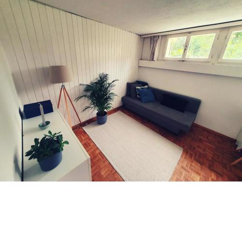 2.5 Zimmerwohnung, Pinut