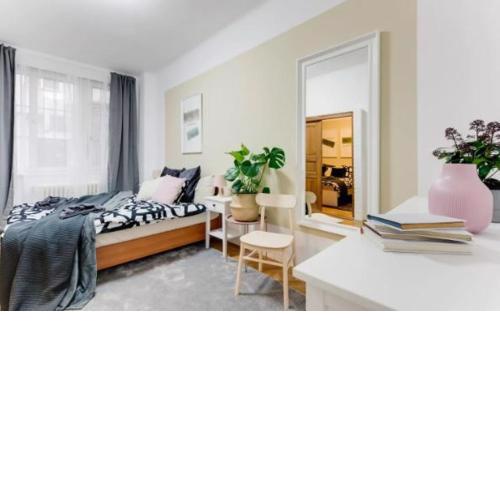 2bds apartment in center - Jungmannova