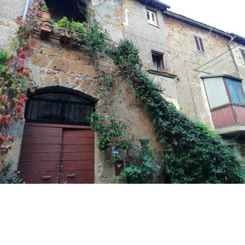 3 bedrooms house with furnished terrace at Barbarano Romano