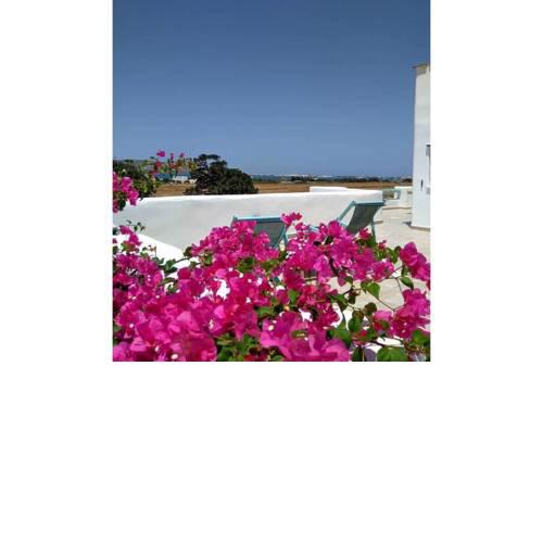360 Aegean Studio Pounta (5' from the beach)
