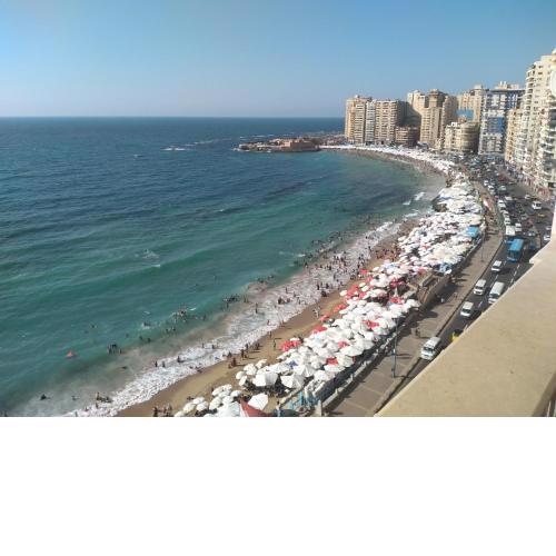 مودرن ارت للسكن الفاخر 3