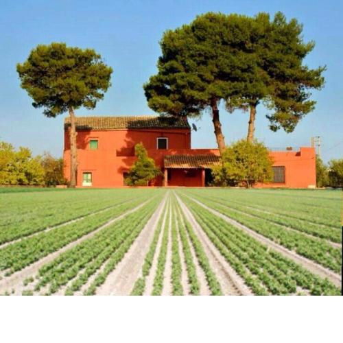 4 bedrooms house with furnished terrace and wifi at Marinella di Selinunte 1 km away from the beach