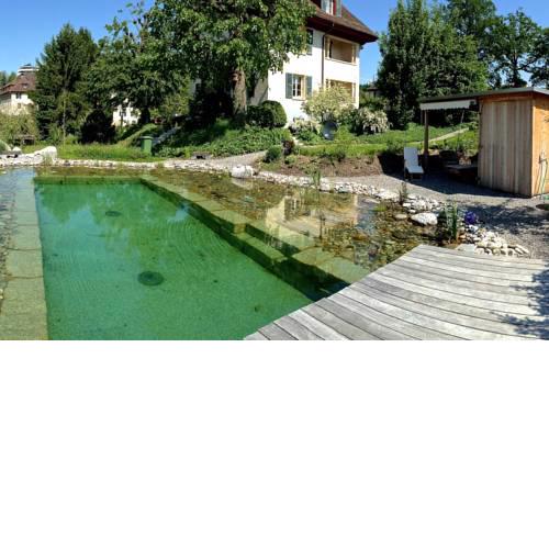 4 Star Garden Apartments Luzern