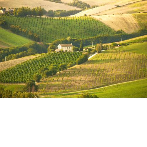 6 bedrooms villa with private pool furnished garden and wifi at Montecarotto