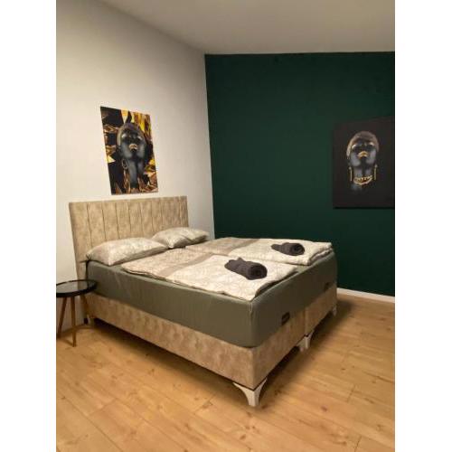8 Fully Equipped Studio shared Apt w Terrace Margareten