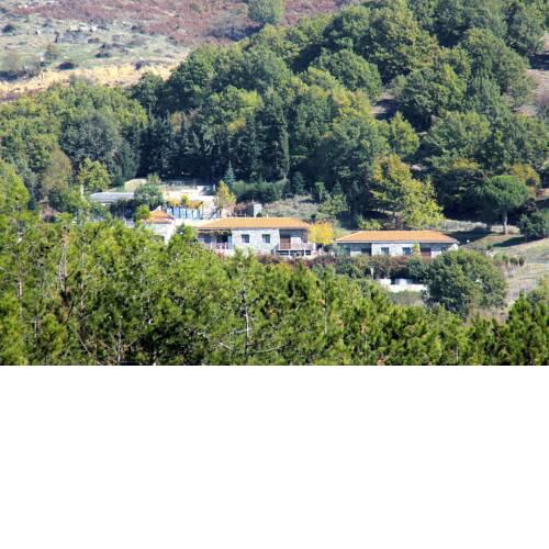 916 Mountain Resort