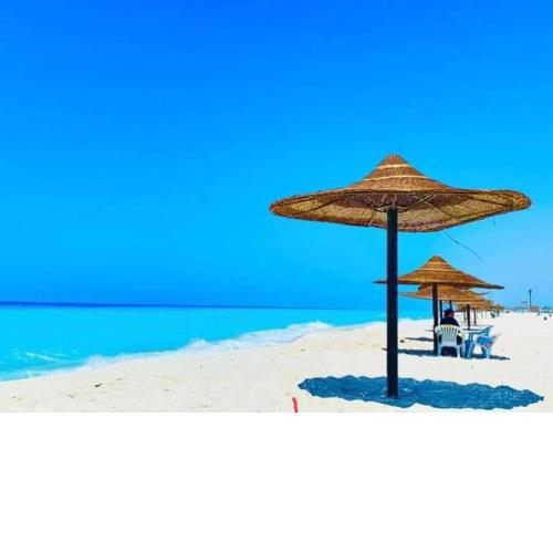 احلى بحر واجمل صيف واجمل شاطئ فى الساحل الشمالى