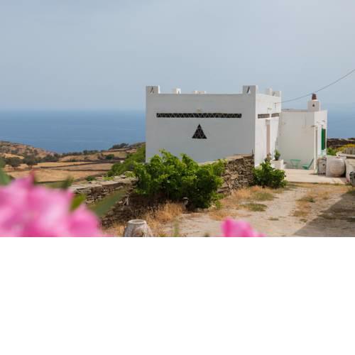 ΑΛΩΝΙ