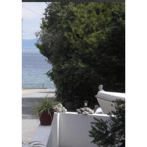 Μαρία Παλαιολόγου