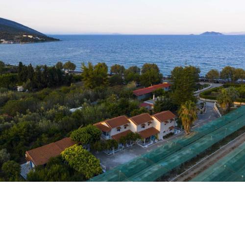Παρά θίν` αλός