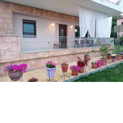 Κρυοπηγή Σπίτι με θέα