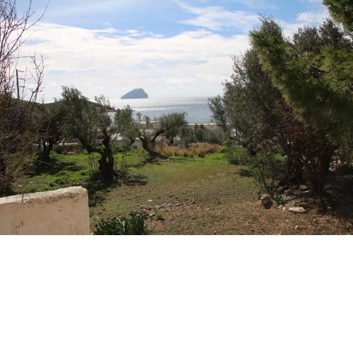 Μικρό Ανάδιο