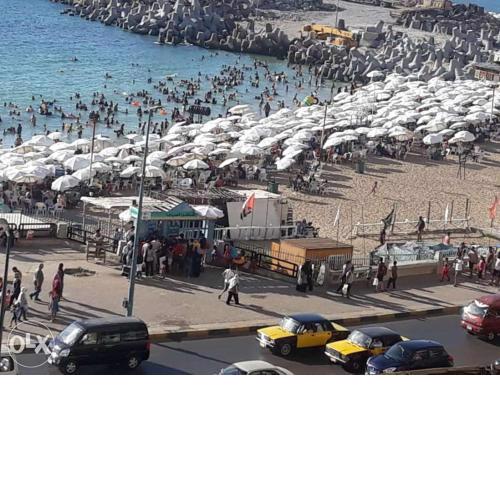 الاسكندرية
