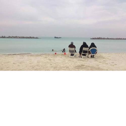 شقه غرفتين ورسبشن ومطبخ امريكاني دول اول علوي بالإسكندرية