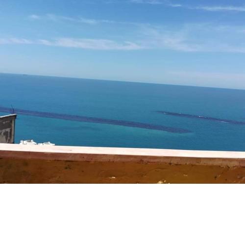 هاوس موفمبيك