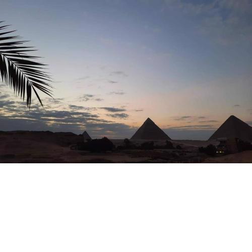 شاعرهاوس