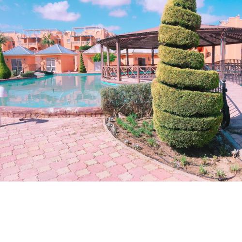 رويال بيتش
