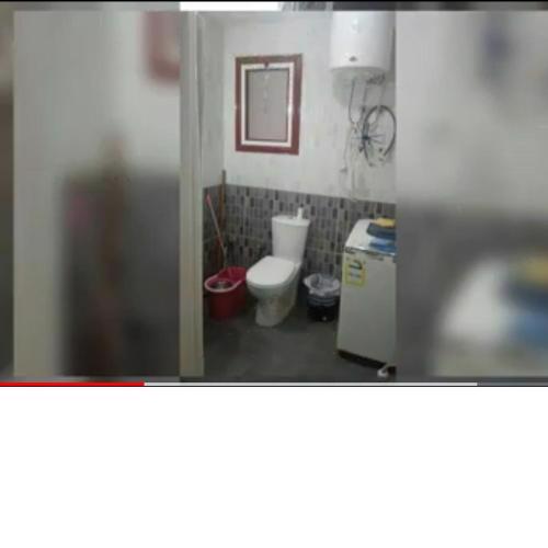 زىزنيا بالإسكندرية