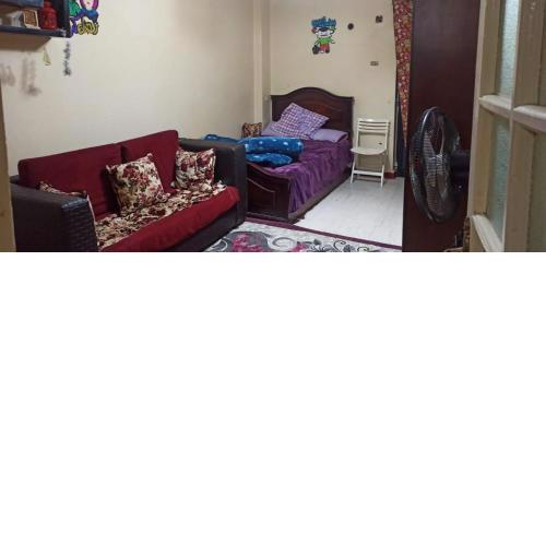 بيت بدر