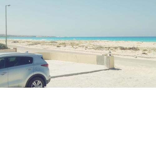 شاليهات عجيبه