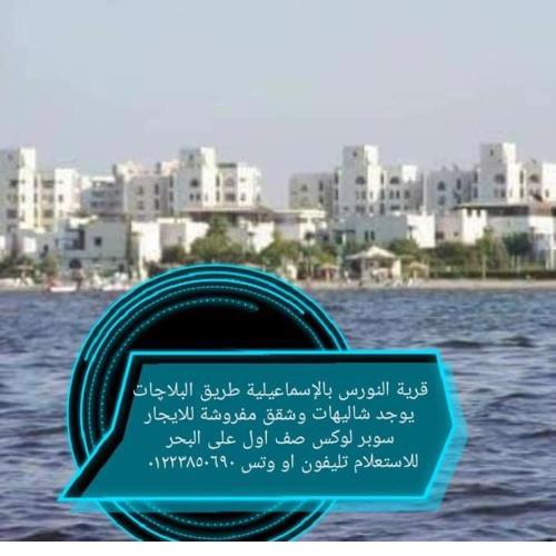 شاليهات السعد قرية النورس