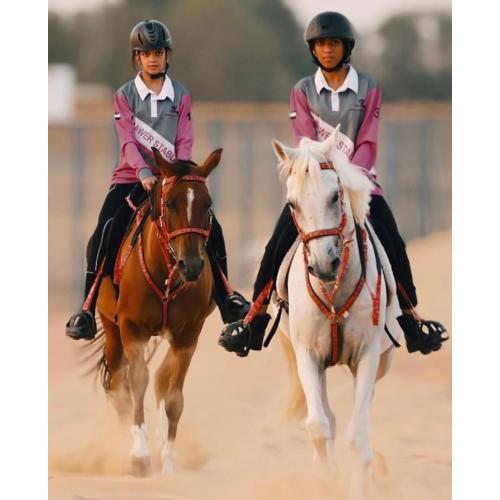 اسطبلات أساور للفروسية