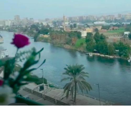 شقة علي النيل