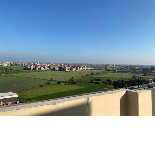 المنصورة شارع مجمع المحاكم