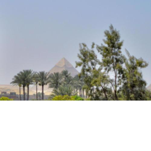الهرم